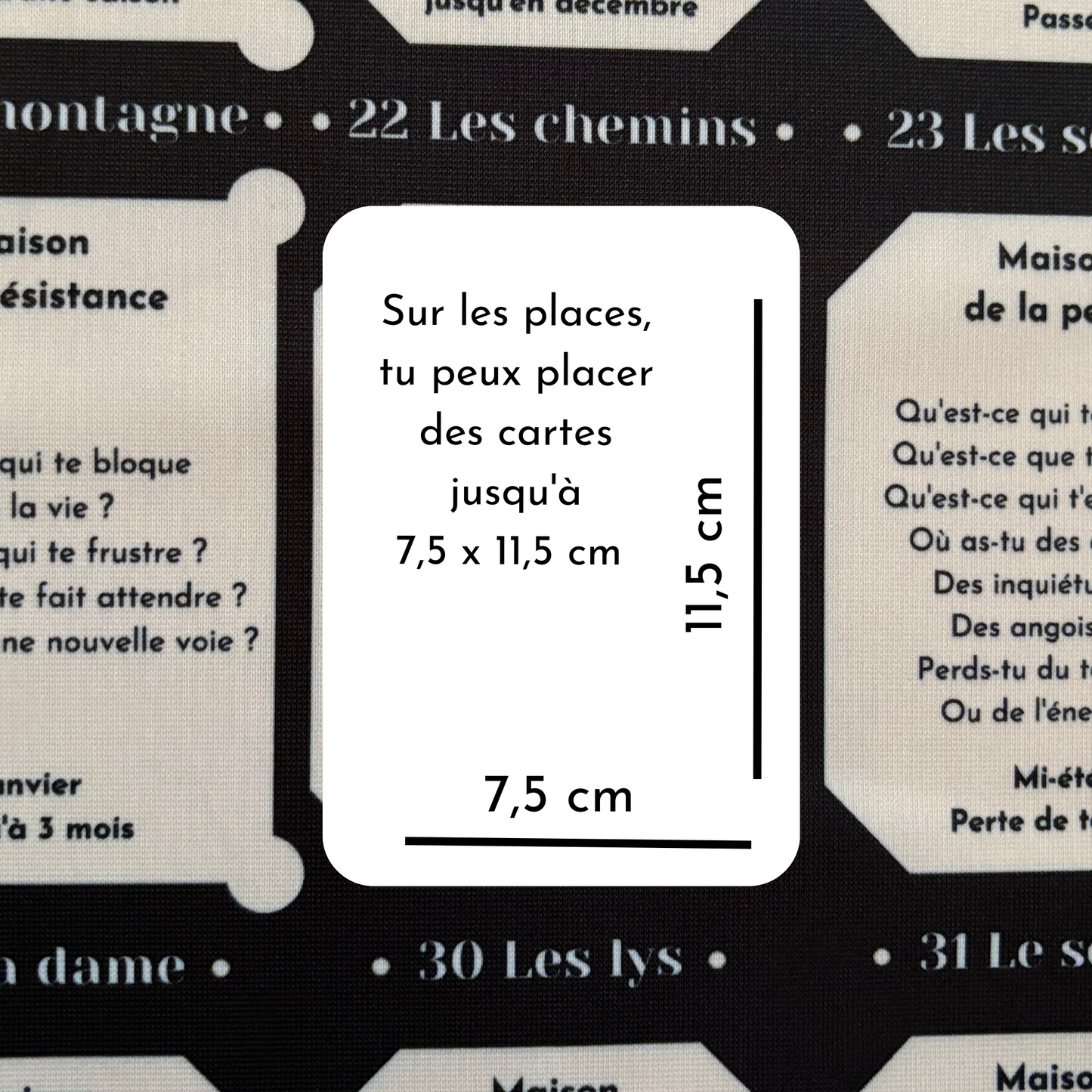 Lenormand grandes maisons - drap 8x4+4 pour les grandes cartes de Lenormand à apprendre