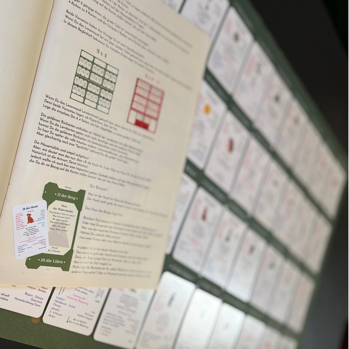 Lenormand Lern-Session mit Rebecca von Arts of Cards