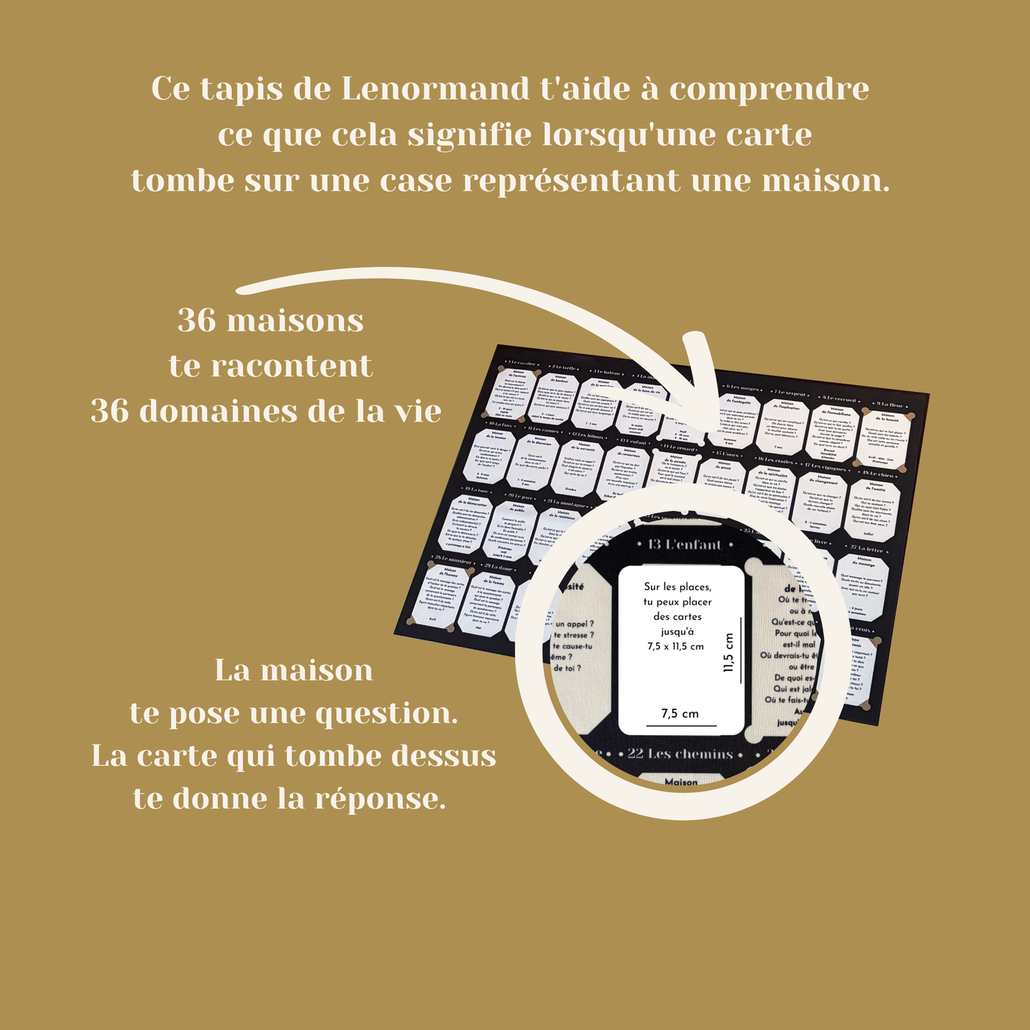 tapis_Lenormand_format_large_9